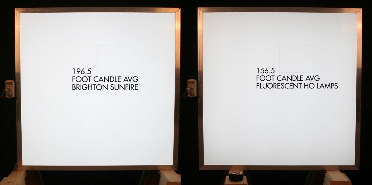 Sign Cab Fluor vs Sunfire.jpg