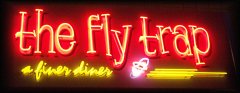 Fly Trap - nighttime