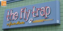 Fly Trap - daytime
