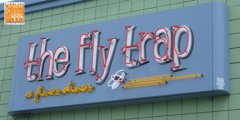 Fly Trap - daytime