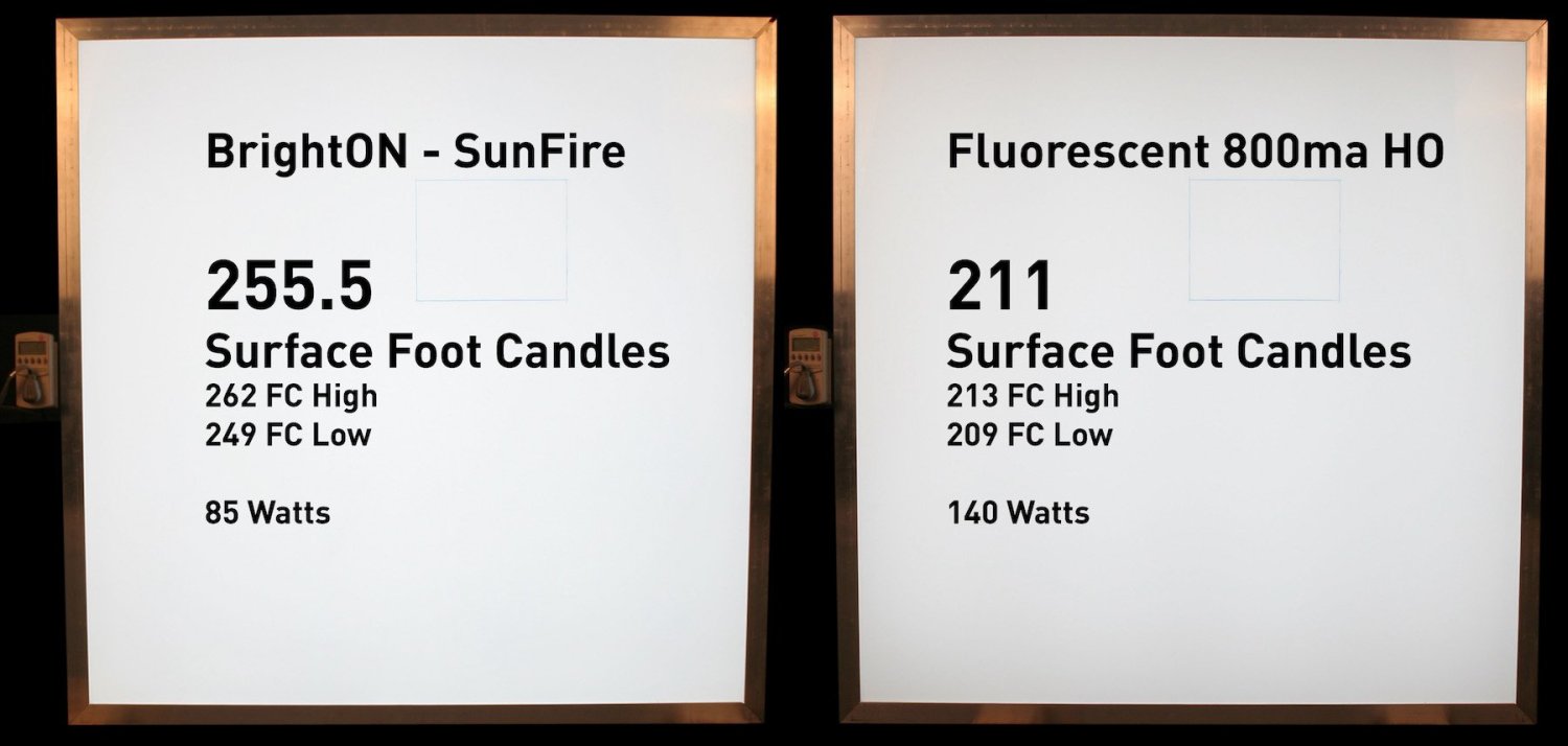 SunFire vs HO Flour 2023.jpg